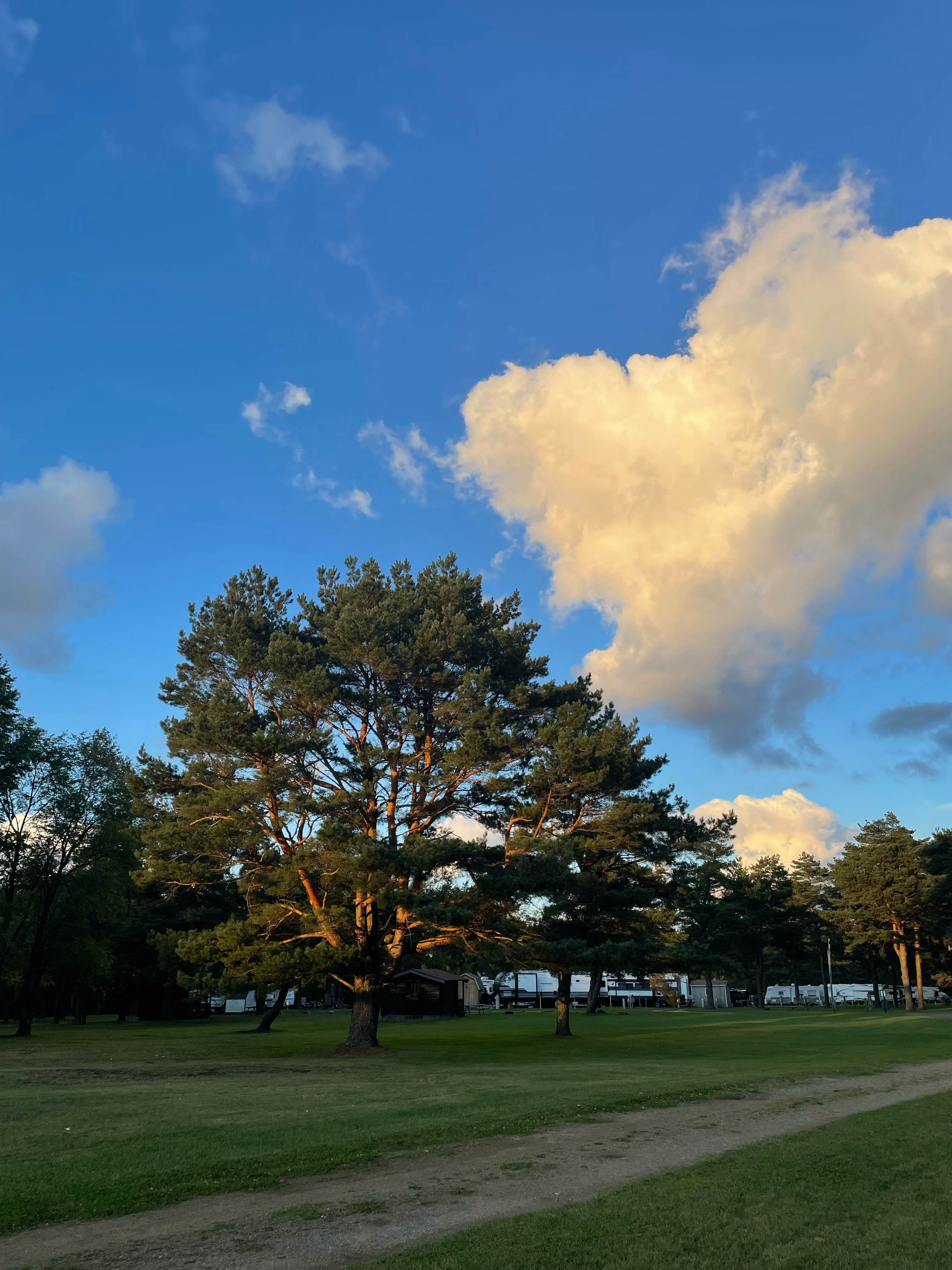 Camper-submitted photo at High Pines RV Park near Marienville, PA