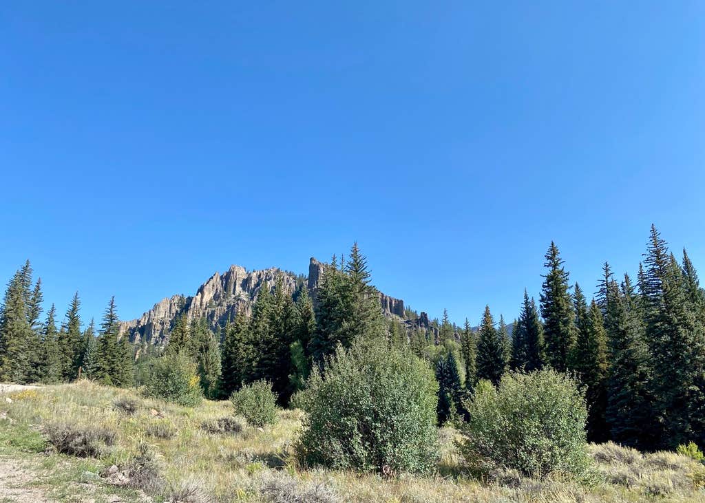 Gunnison National Forest Soap Creek Campground Camping The Dyrt