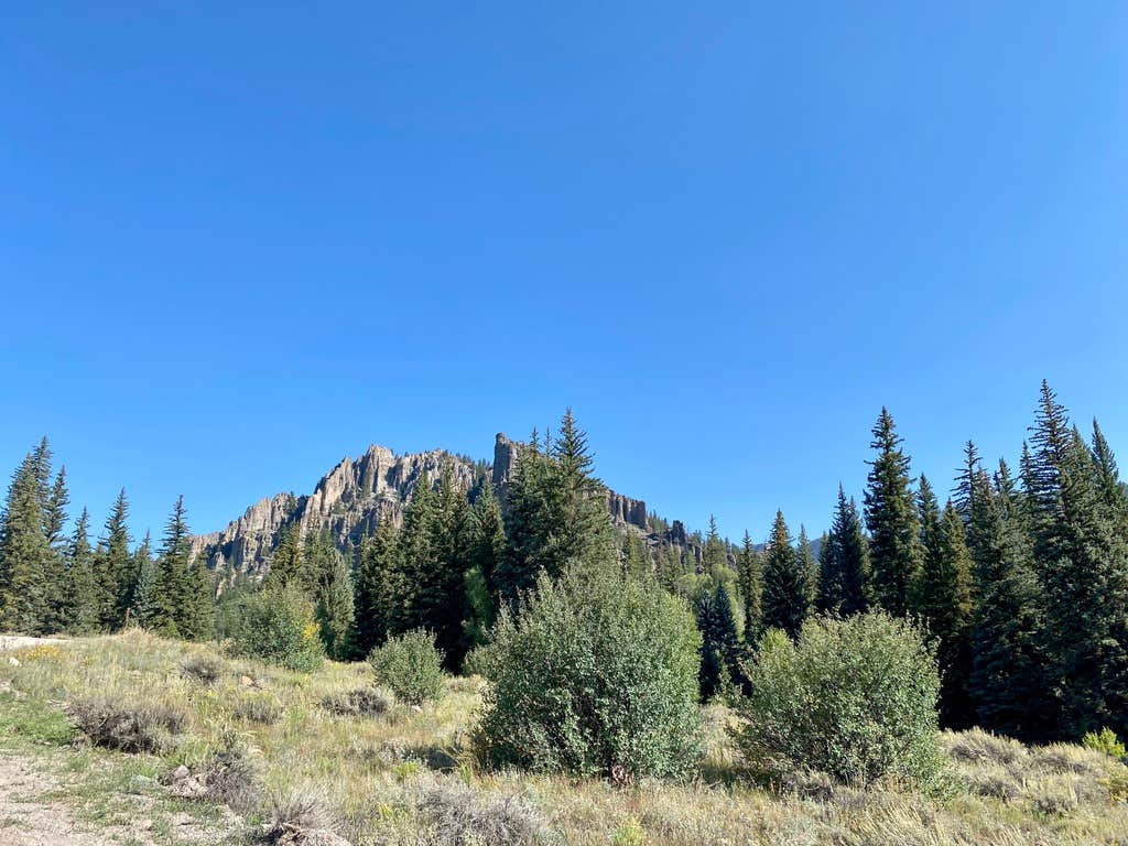 Camper submitted image from Gunnison National Forest Soap Creek Campground - 1