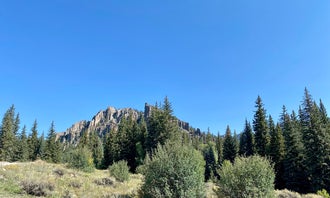 Camping near Iron Creek Campground — Crawford State Park: Gunnison National Forest Soap Creek Campground, Curecanti National Recreation Area, Colorado