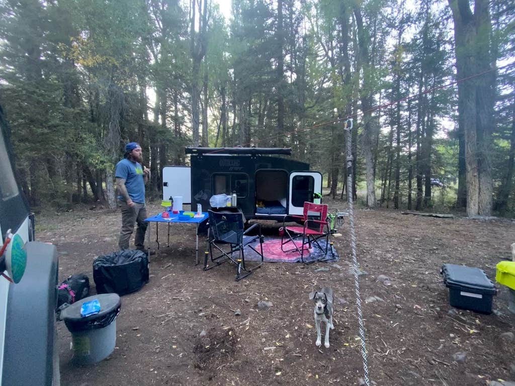 Whitney L.'s photo of camping with pets at Gunnison National Forest Soap Creek Campground near Curecanti National Recreation Area