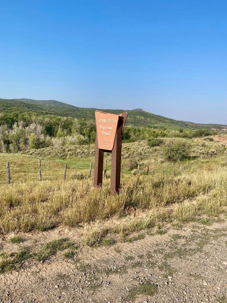 Camper-submitted photo at Overland Reservoir (Dispersed)-Paonia RD near Redstone, CO