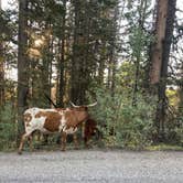 Review photo of Overland Reservoir (Dispersed)-Paonia RD by Whitney L., September 10, 2021