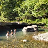 Review photo of Haw Creek Falls Camping by Aaron T., September 10, 2021