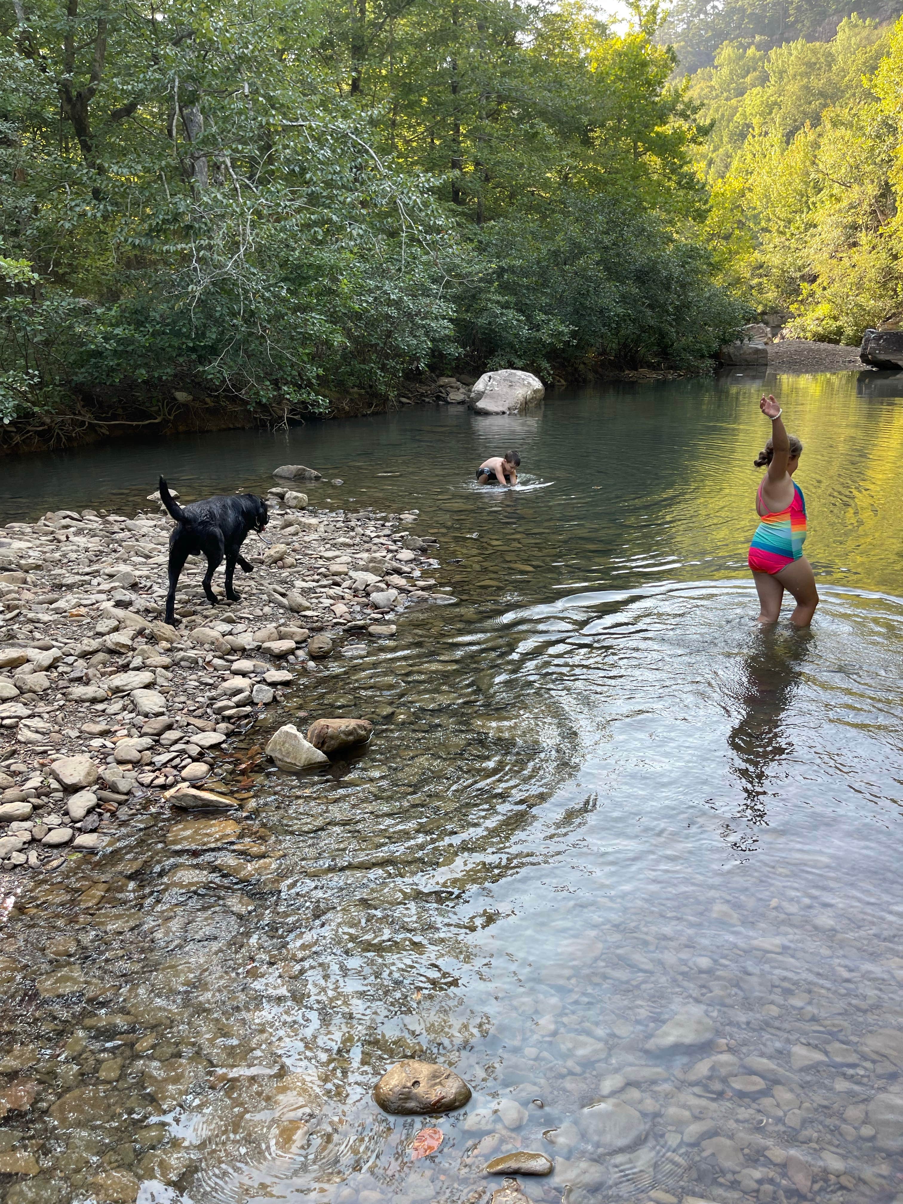 Aaron T.'s photo of camping with pets at Haw Creek Falls Camping near Lake Dardanelle
