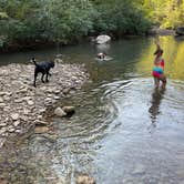 Review photo of Haw Creek Falls Camping by Aaron T., September 10, 2021