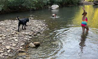 Aaron T.'s photo of camping with pets at Haw Creek Falls Camping near Hector, AR