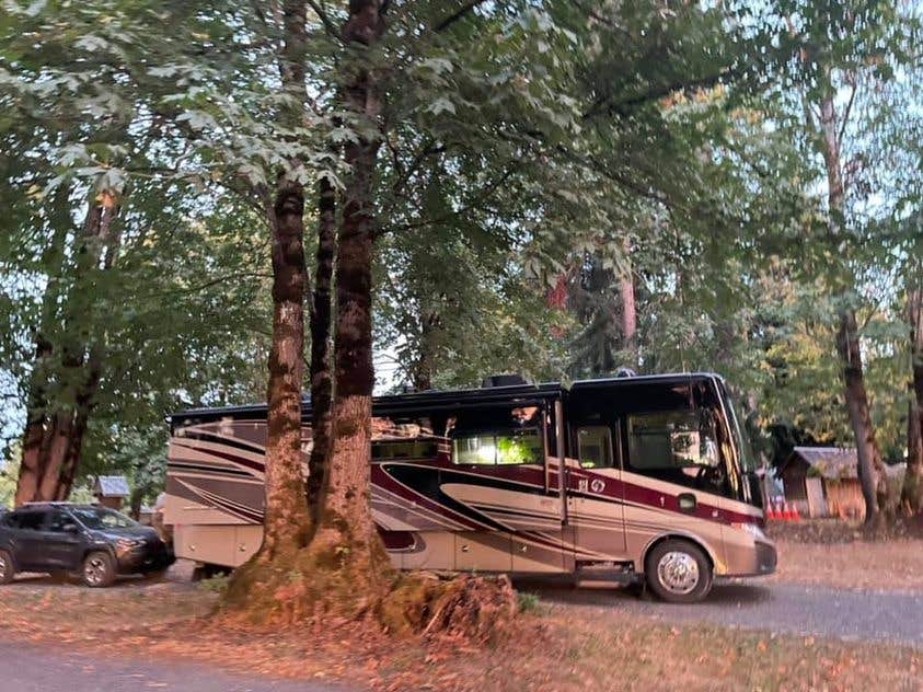 Camping near Seaquest State Park Campground: Kemp Olson Memorial Park, Toledo, Washington