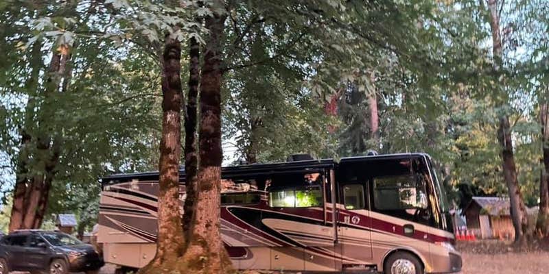 Camper submitted image from Kemp Olson Memorial Park