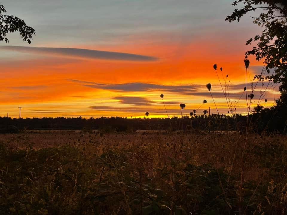 Camper submitted image from Kemp Olson Memorial Park - 2