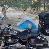 Review photo of Trimmer Campground by Steve C., September 10, 2021
