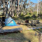 Review photo of Mackerricher State Park Campground by Steve C., September 10, 2021