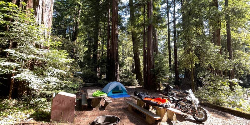 Camper submitted image from San Mateo Memorial Park