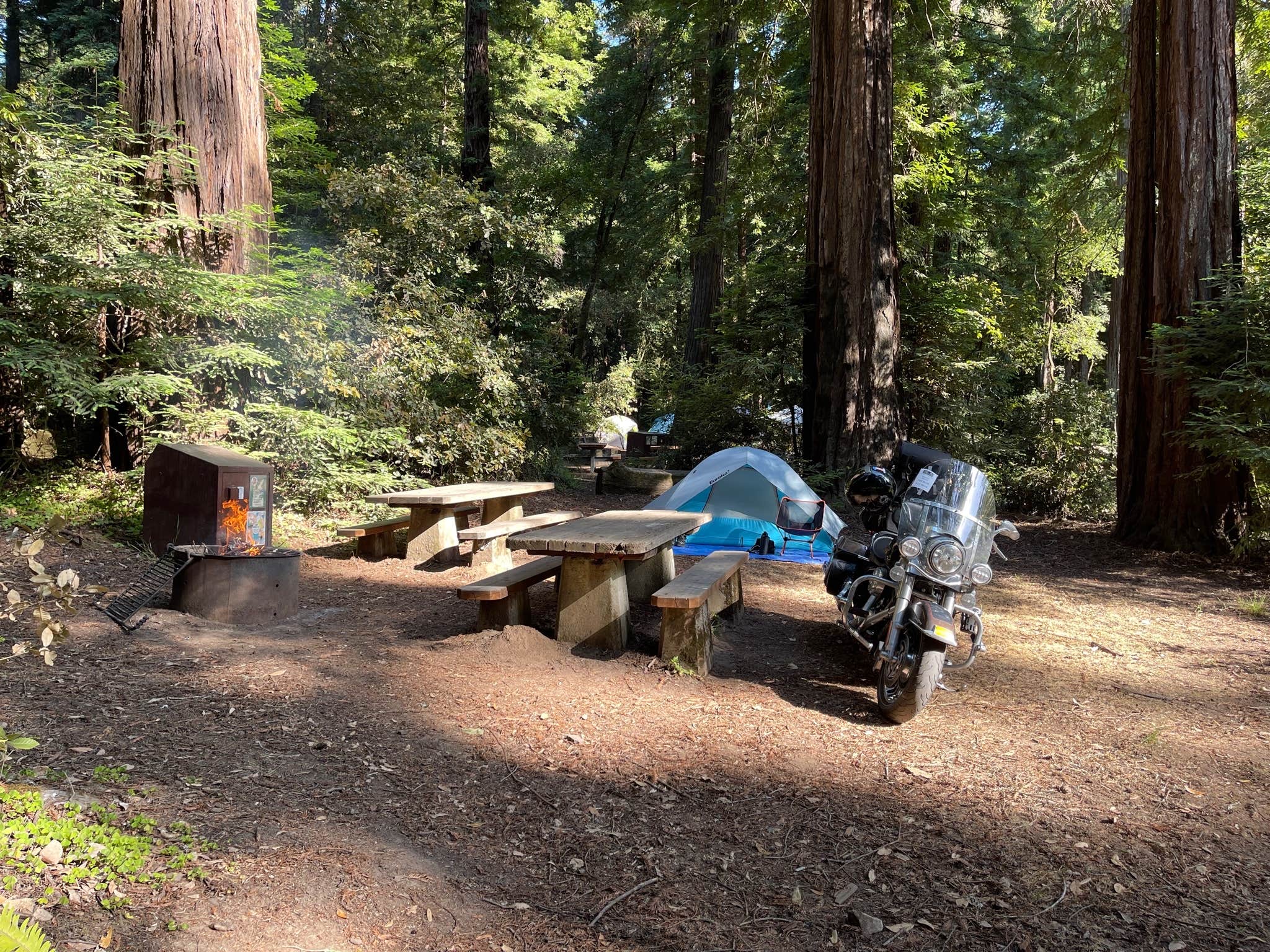 Steve C.'s photo at San Mateo Memorial Park near Los Altos Hills, CA