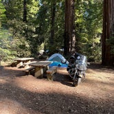 Review photo of San Mateo Memorial Park by Steve C., September 10, 2021