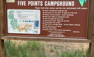 Camping near Grape Creek - Temple Canyon Park: Five Points Campground — Arkansas Headwaters Recreation Area, Cotopaxi, Colorado