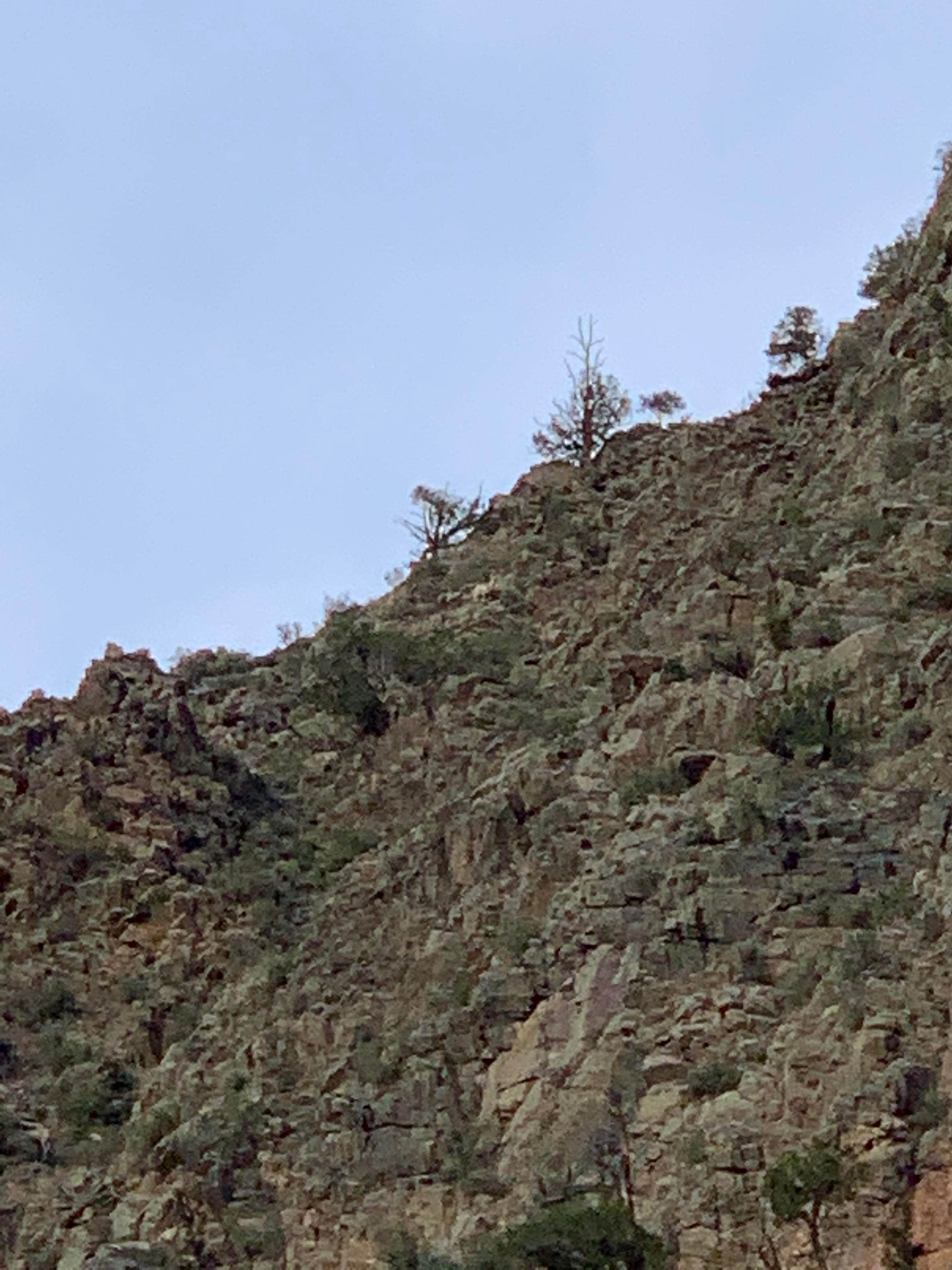 Camper-submitted photo at Five Points Campground — Arkansas Headwaters Recreation Area near Hillside, CO