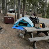 Review photo of Canyon Campground — Yellowstone National Park by Steve C., September 10, 2021