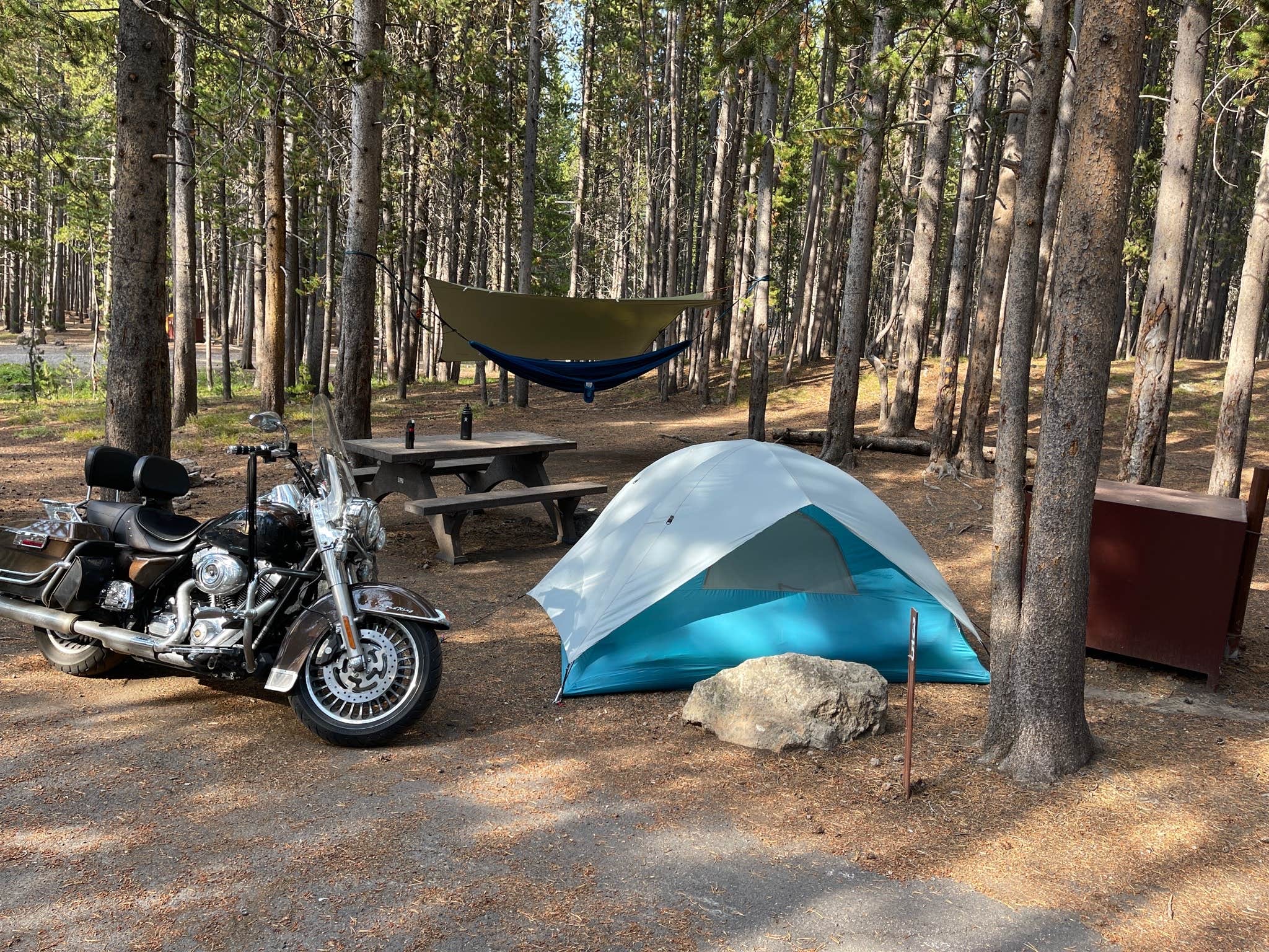 Steve C.'s photo at Canyon Campground — Yellowstone National Park near Yellowstone National Park