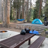 Review photo of Lodgepole Campground by Steve C., September 10, 2021