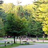 Review photo of Cedar Campground — Ludington State Park by Tara T., September 10, 2021