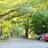 Review photo of Cedar Campground — Ludington State Park by Tara T., September 10, 2021