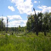 Review photo of Lake Gogebic State Park Campground by Anton T., July 21, 2016