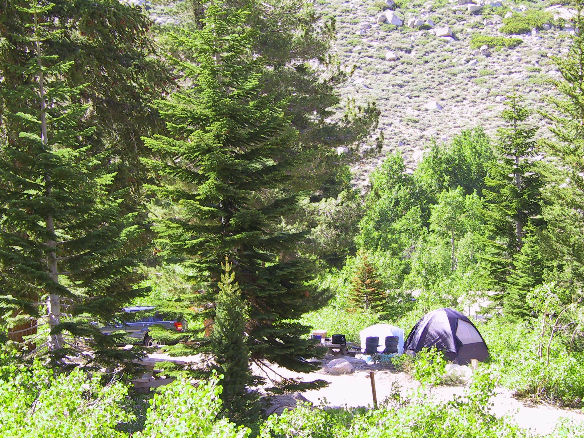 Steve C.'s photo at Onion Valley near Sequoia & Kings Canyon National Parks