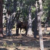 Review photo of Mather Campground — Grand Canyon National Park by B O., September 11, 2021