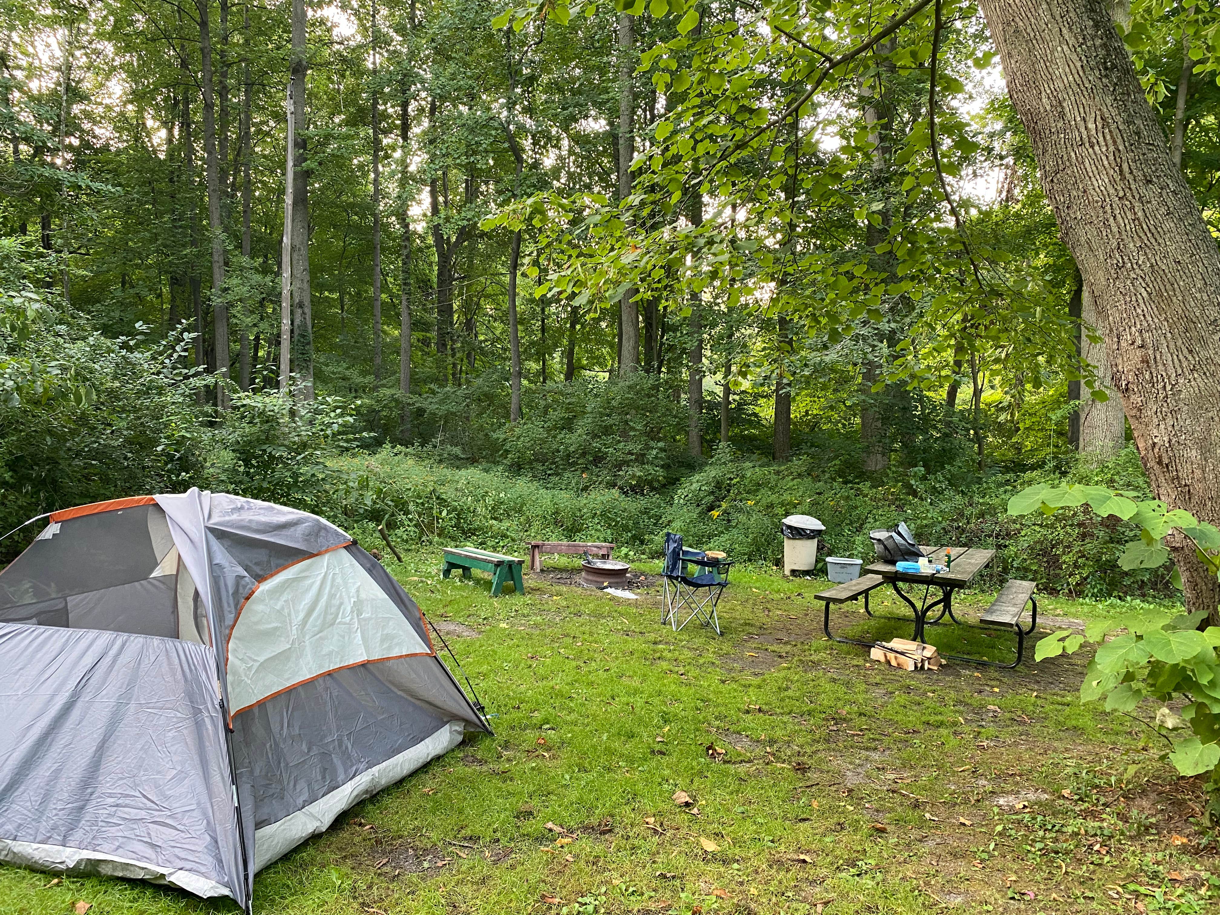 Camping near Wooded Trails: Sweet Cherry Resort, Watervliet, Michigan