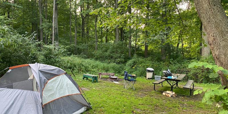 Camper submitted image from Sweet Cherry Resort