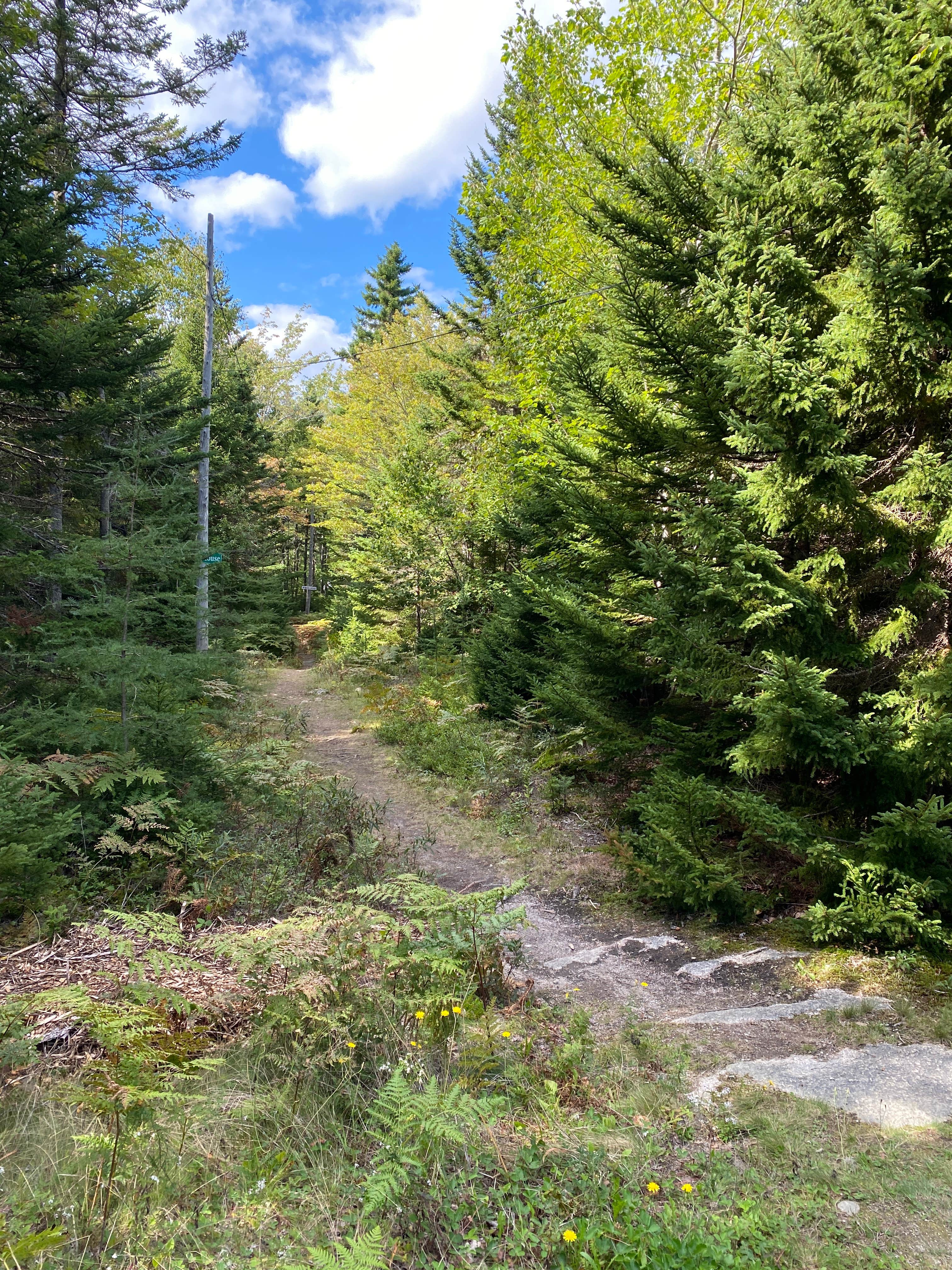Camper-submitted photo at Greenlaw's RV Park & Campground near Salsbury Cove, ME