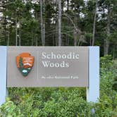 Review photo of Schoodic Woods Campground — Acadia National Park by LoneCamper C., September 11, 2021