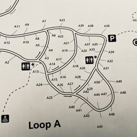 Schoodic Woods Loop A diagram