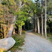 Review photo of Schoodic Woods Campground — Acadia National Park by LoneCamper C., September 11, 2021