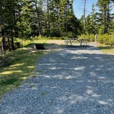 Review photo of Schoodic Woods Campground — Acadia National Park by LoneCamper C., September 11, 2021