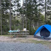 Review photo of Schoodic Woods Campground — Acadia National Park by LoneCamper C., September 11, 2021