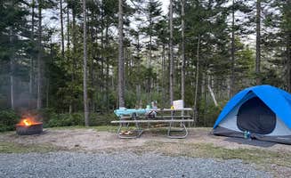 LoneCamper C.'s photo at Schoodic Woods Campground — Acadia National Park near Birch Harbor, ME