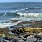 Review photo of Schoodic Woods Campground — Acadia National Park by LoneCamper C., September 11, 2021