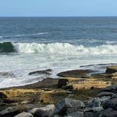 Review photo of Schoodic Woods Campground — Acadia National Park by LoneCamper C., September 11, 2021