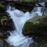 Review photo of Limekiln State Park Campground — TEMPORARILY CLOSED by Steve C., September 11, 2021