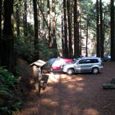 Review photo of Limekiln State Park Campground — TEMPORARILY CLOSED by Steve C., September 11, 2021