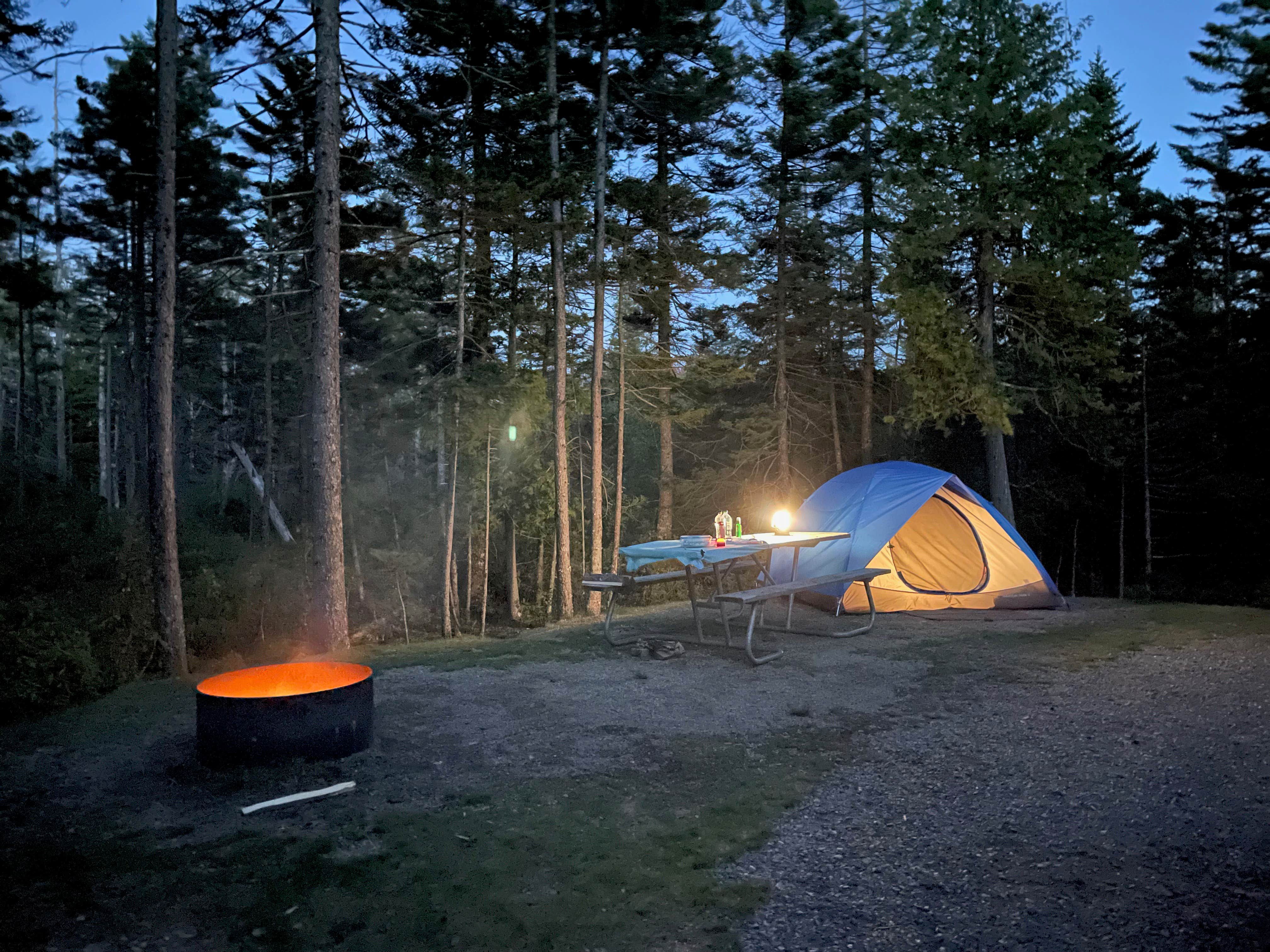 LoneCamper C.'s photo at Schoodic Woods Campground — Acadia National Park near Acadia National Park