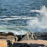 Review photo of Schoodic Woods Campground — Acadia National Park by LoneCamper C., September 11, 2021