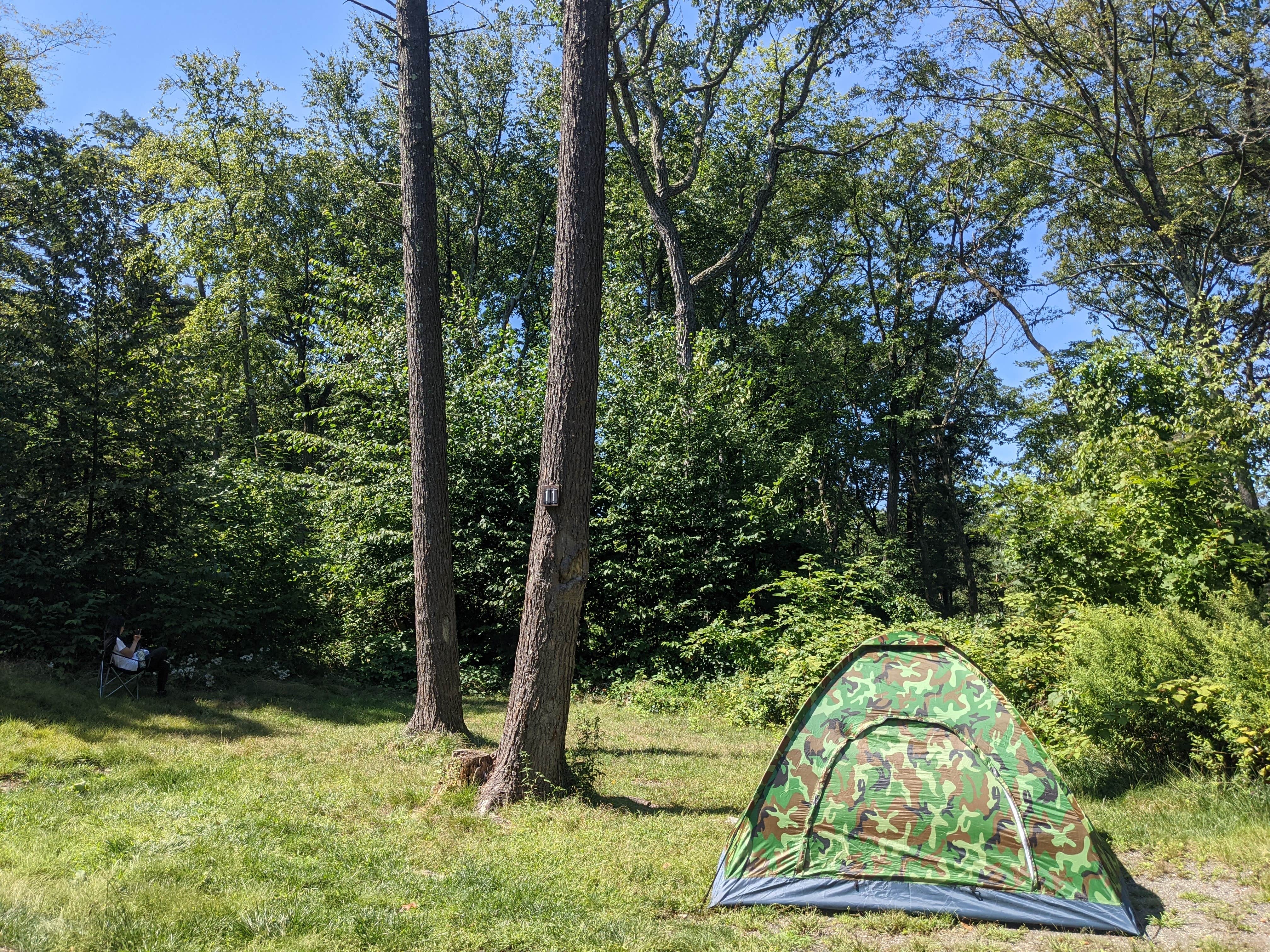 Jun C.'s photo at Clarence Fahnestock State Park Campground near New Canaan, CT