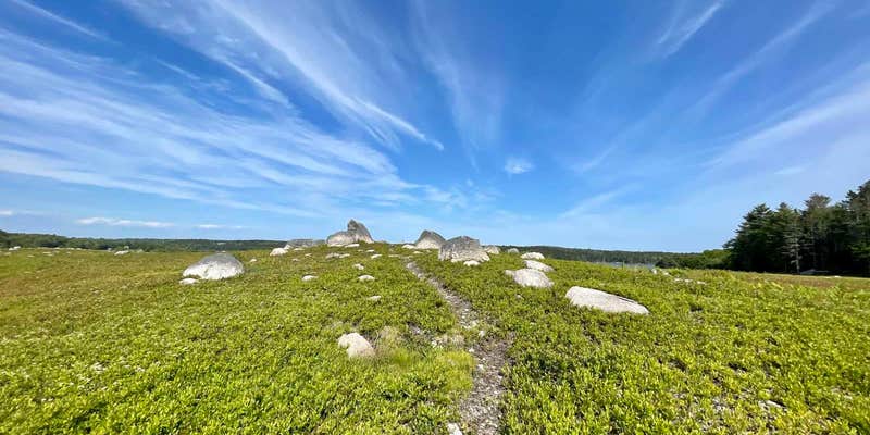 Camper submitted image from Maine Wild Blueberry Bliss