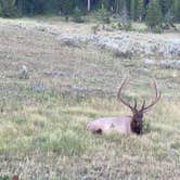 Review photo of Canyon Campground — Yellowstone National Park by Steve C., September 10, 2021