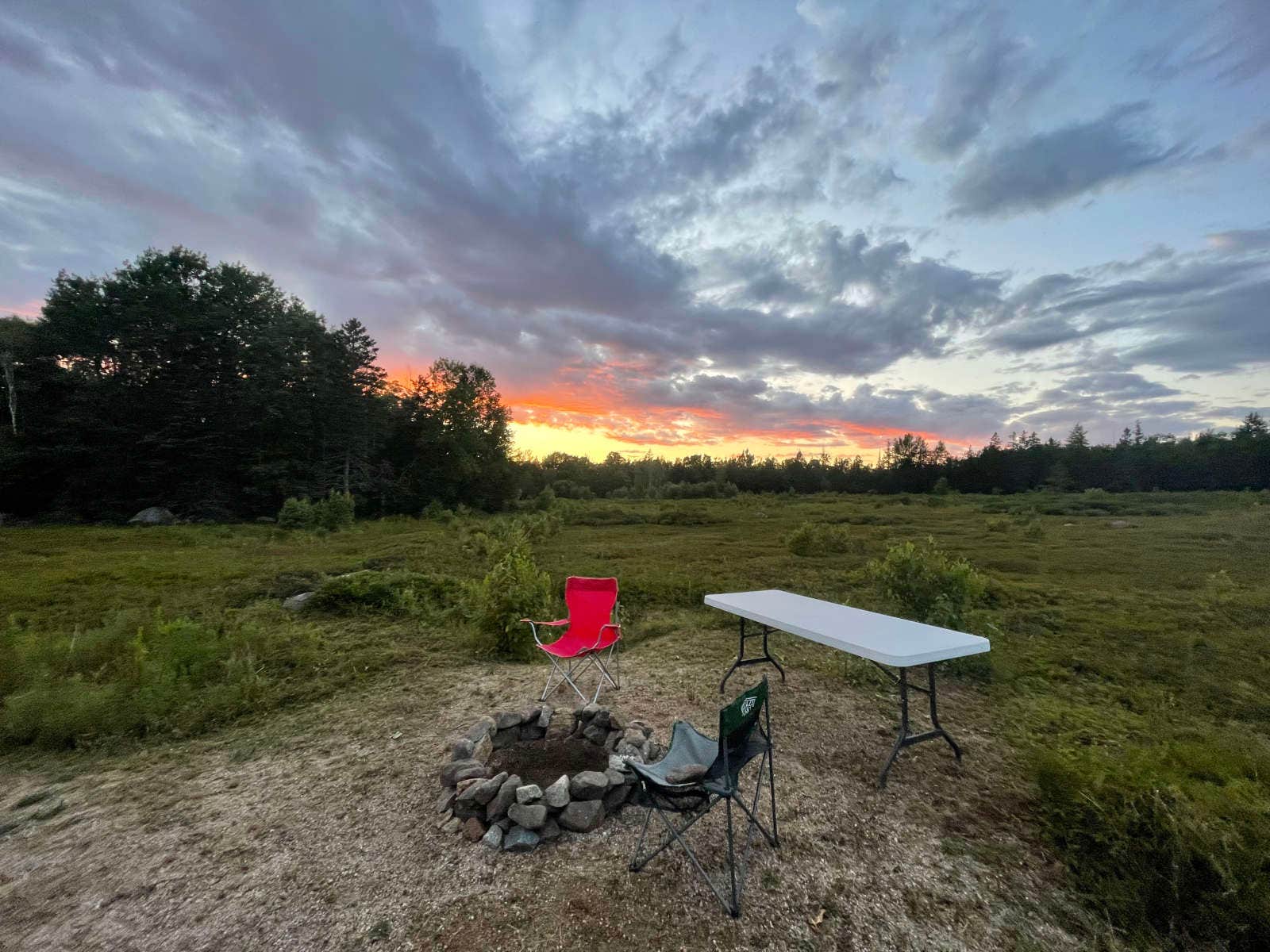 Camper submitted image from Wildberry Farm (Backyard Blueberries) - 3