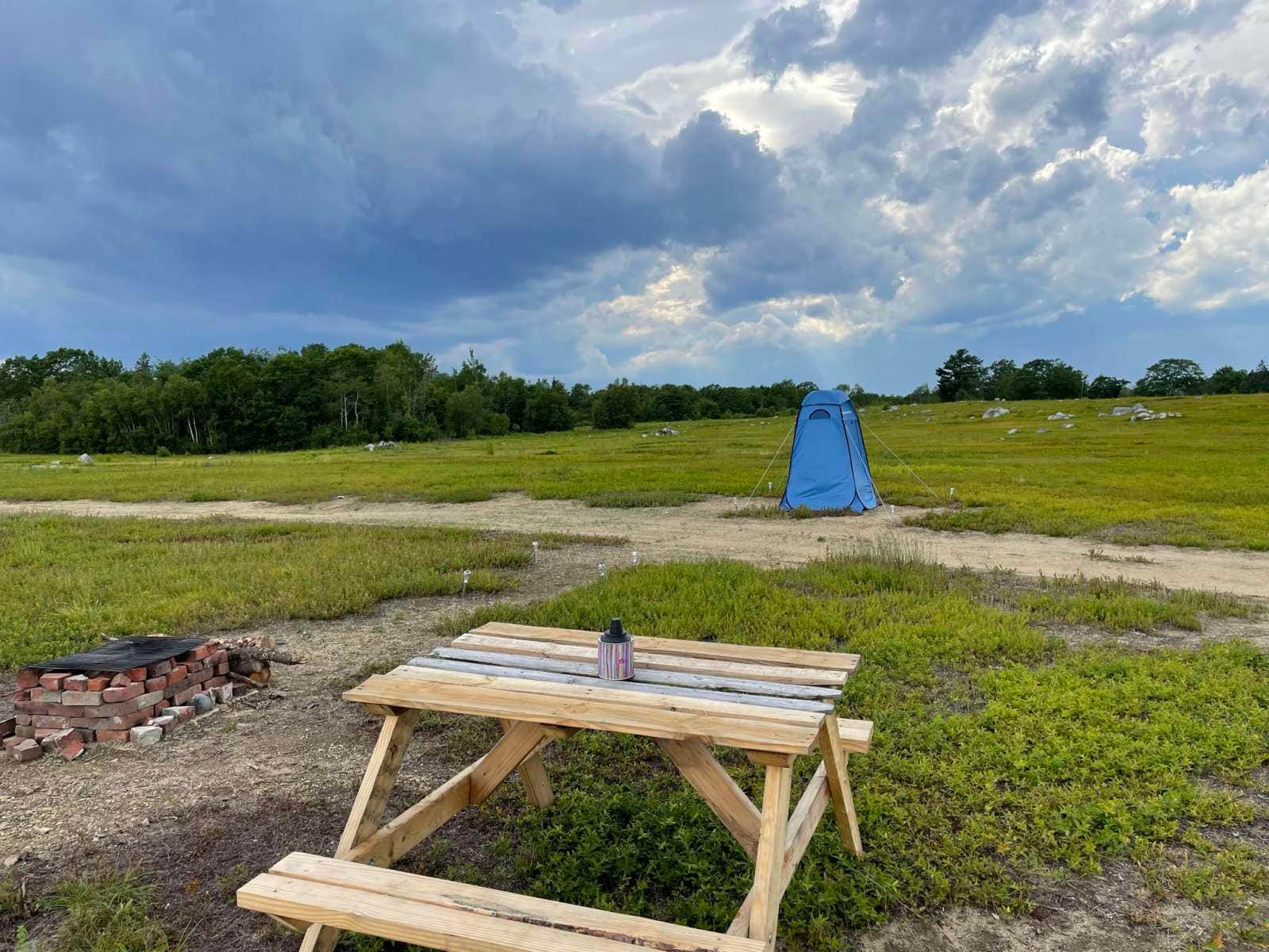 Camper submitted image from Blueberry Fields Forever - 5