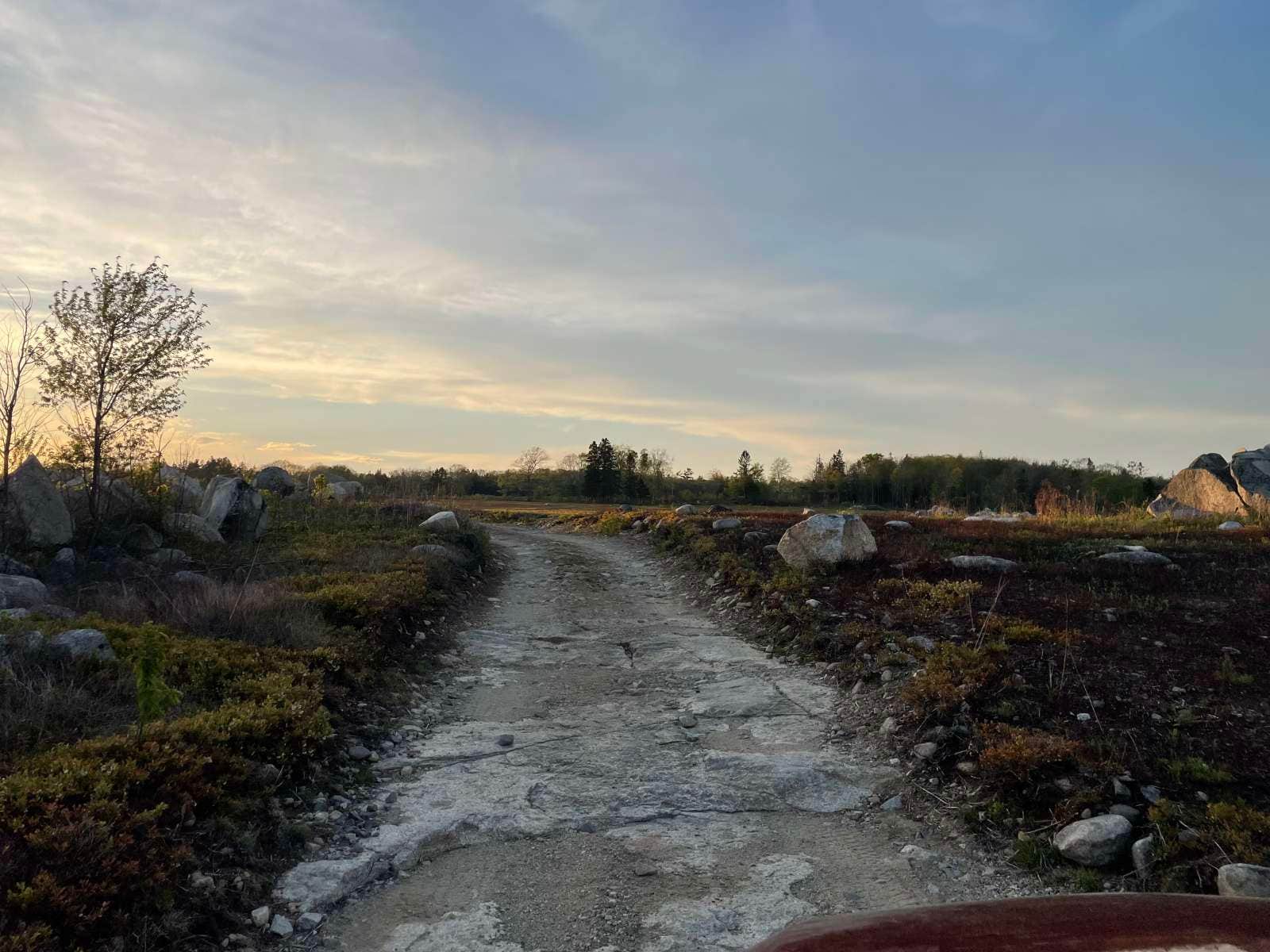 Camper submitted image from Blueberry Fields Forever - 3